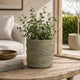 Cylindrical Planter | Raised Feather Motifs | Gray & Gold Terracotta 7"