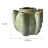 Tulipiere Vase | Crackled Texture | Sage Green & Brown Ceramic 9"
