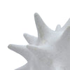 Xyla Decorative Orb with Spiked Starburst Patterns | White Resin 8"