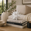 Xyla Decorative Orb with Spiked Starburst Patterns | White Resin 8"
