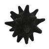 Noah Decorative Orb Sculpture with Spiked Details | Black Resin 8"