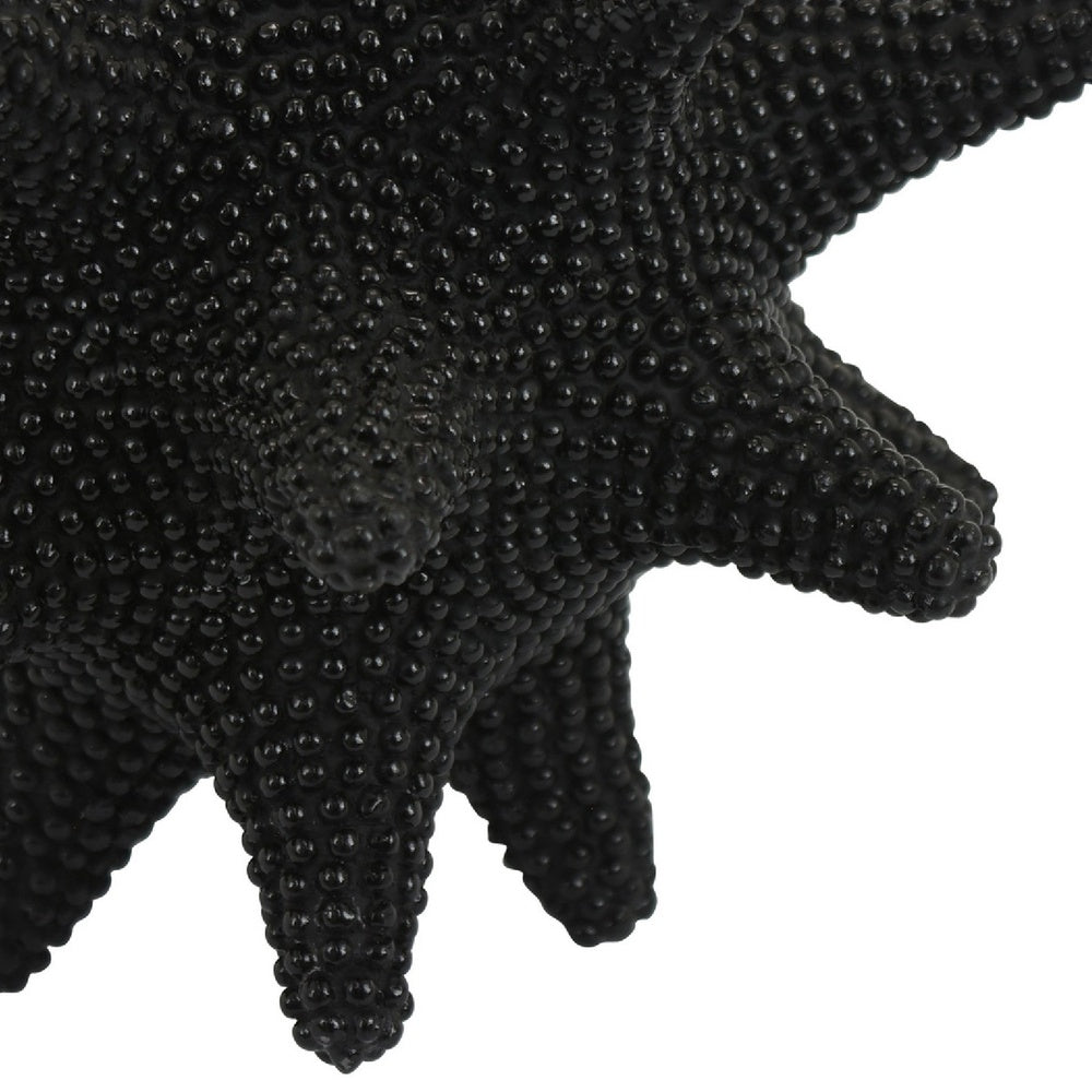 Noah Decorative Orb Sculpture with Spiked Details | Black Resin 8"