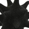 Noah Decorative Orb Sculpture with Spiked Details | Black Resin 8"