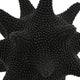 Noah Decorative Orb Sculpture with Spiked Details | Black Resin 8"