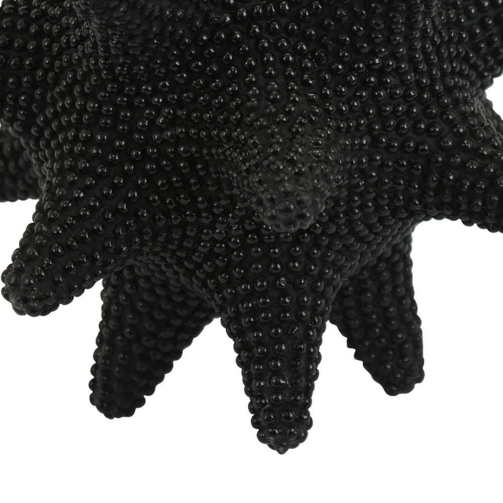 Noah Decorative Orb Sculpture with Spiked Details | Black Resin 8"