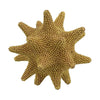 Noah Decorative Orb Sculpture with Spiked Details | Gold Resin 8"