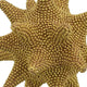 Noah Decorative Orb Sculpture with Spiked Details | Gold Resin 8"