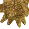 Noah Decorative Orb Sculpture with Spiked Details | Gold Resin 8"