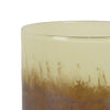 Sophie Vase with Frosted Gradient | Speckled Base | Multi-Tone Glass 9"
