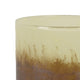 Sophie Vase with Frosted Gradient | Speckled Base | Multi-Tone Glass 9"