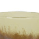 Sophie Vase with Frosted Gradient | Speckled Base | Multi-Tone Glass 9"