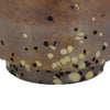 Sophie Vase with Frosted Gradient | Speckled Base | Multi-Tone Glass 9"