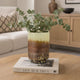 Sophie Vase with Frosted Gradient | Speckled Base | Multi-Tone Glass 9"