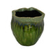 Ashly Decorative Planter with Scalloped Rim | Green Textured Ceramic 8"