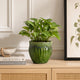 Ashly Decorative Planter with Scalloped Rim | Green Textured Ceramic 8"