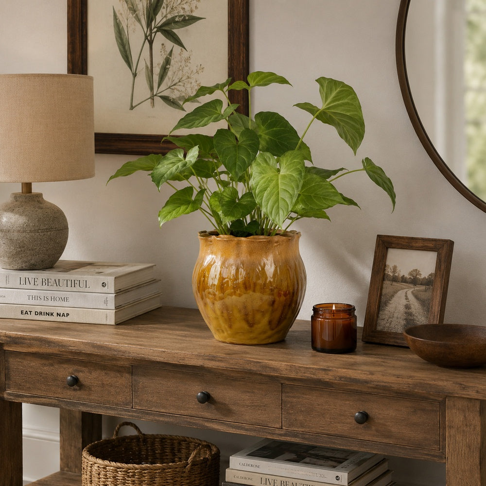 Ashly Decorative Planter with Scalloped Rim | Yellow Textured Ceramic 8"