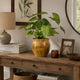 Ashly Decorative Planter with Scalloped Rim | Yellow Textured Ceramic 8"