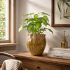 Ashly Decorative Planter with Scalloped Rim | Yellow Textured Ceramic 8"