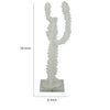 Erica Decorative Cactus Sculpture on Glass Base | White Resin 18"