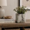 Outdoor Decorative Planter | Faux Bois Textured Terracotta | 7" Gray