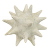 Spiked Tabletop Décor | Textured Coastal Accent | White Resin | 8"