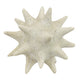Spiked Tabletop Décor | Textured Coastal Accent | White Resin | 8"
