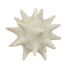 Spiked Tabletop Décor | Textured Coastal Accent | White Resin | 8"
