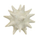 Spiked Tabletop Décor | Textured Coastal Accent | White Resin | 8"