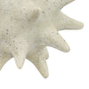 Spiked Tabletop Décor | Textured Coastal Accent | White Resin | 8"
