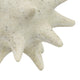Spiked Tabletop Décor | Textured Coastal Accent | White Resin | 8"