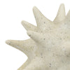 Spiked Tabletop Décor | Textured Coastal Accent | White Resin | 8"