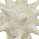 Spiked Tabletop Décor | Textured Coastal Accent | White Resin | 8"