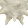 Spiked Tabletop Décor | Textured Coastal Accent | White Resin | 8"