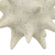 Spiked Tabletop Décor | Textured Coastal Accent | White Resin | 8"