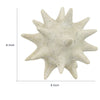 Spiked Tabletop Décor | Textured Coastal Accent | White Resin | 8"