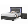 Queen Bedroom Set, Dark Gray, Metallic Gray Wood, 2 Piece Set with Nightstand