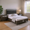Queen Bedroom Set, Gray, Silver, Black Wood, 2 Piece Set with Nightstand