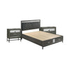 Queen Bedroom Set, Gray, Silver, Black Wood, 3 Piece Set with 2 Nightstands