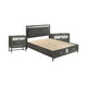 Queen Bedroom Set, Gray, Silver, Black Wood, 3 Piece Set with 2 Nightstands