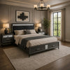 Queen Bedroom Set, Gray, Silver, Black Wood, 3 Piece Set with 2 Nightstands