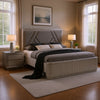 Queen Bedroom Set, Gray, Silver Wood, 2 Piece Set with Nightstand