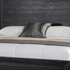 Queen Bedroom Set, Black, Chrome, Nickel Wood, 2 Piece Set with Nightstand