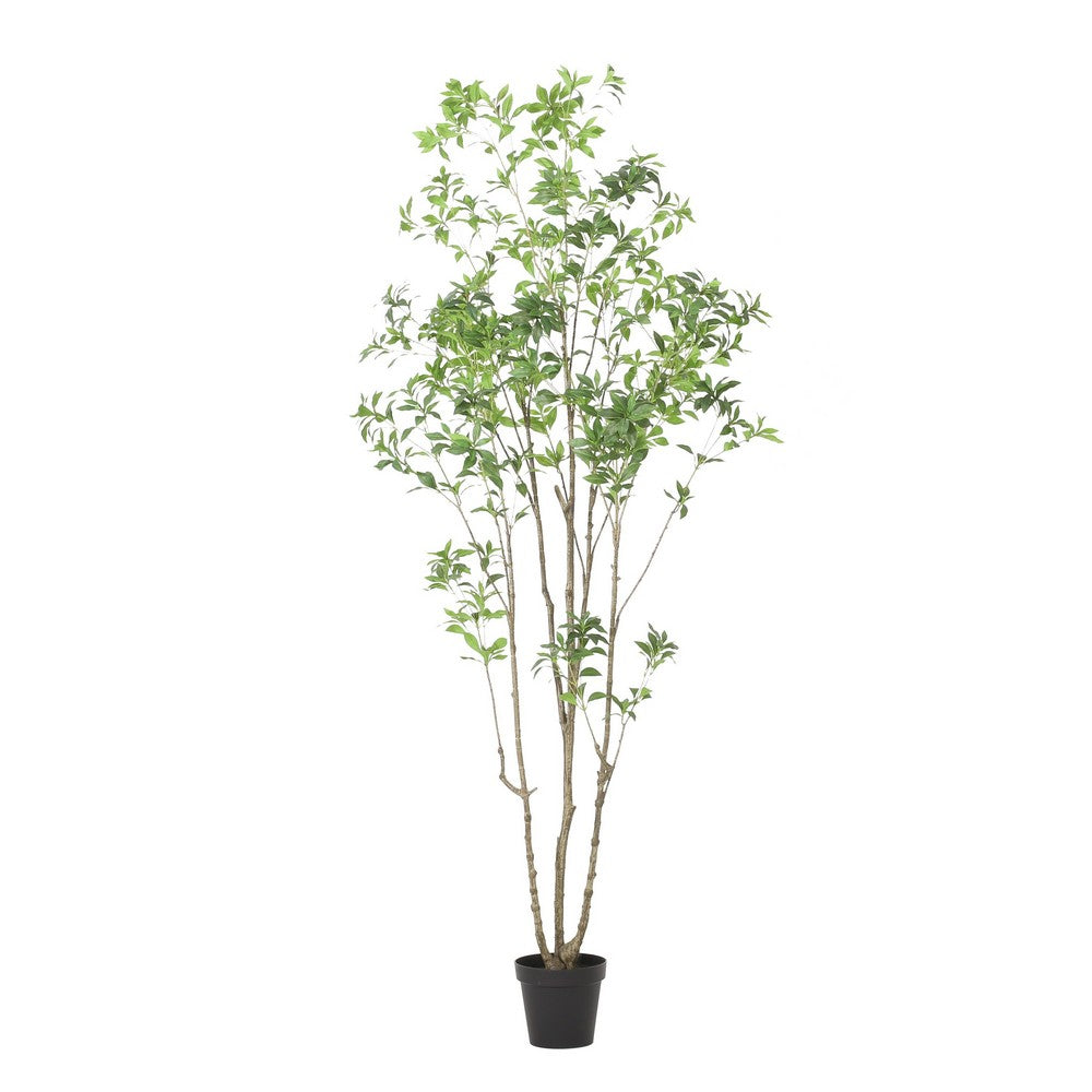 Terry Artificial Pieris Tree with White Planter | 95"
