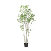 Terry Artificial Pieris Tree with White Planter | 95"