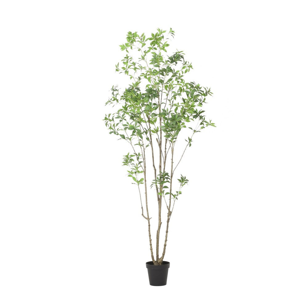 Terry Artificial Pieris Tree with White Planter | 95"