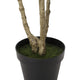 Terry Artificial Pieris Tree with White Planter | 95"