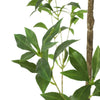 Terry Artificial Pieris Tree with White Planter | 95"