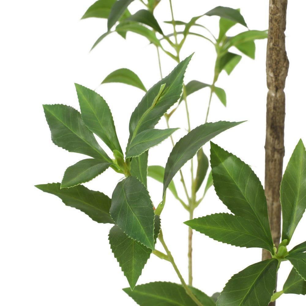 Terry Artificial Pieris Tree with White Planter | 95"