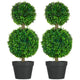 Lesli Double Ball Boxwoodl Topiary Trees | Set of 2 | Green 24"