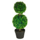 Lesli Double Ball Boxwoodl Topiary Trees | Set of 2 | Green 24"